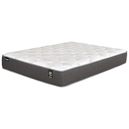 Twin Pocketed Coil Mattress Set